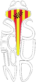 Section Sud